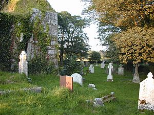 Irish graveyard
