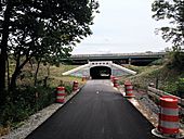 Monon Greenway tunnel
