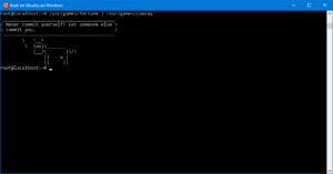Screenshot of ‘Bash on Ubuntu on Windows’