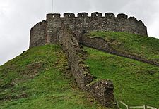 Totnes Castle 2.jpg
