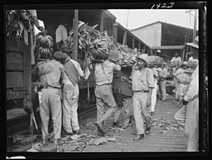 Unloading bananas, New Orleans LOC agc.7a03435