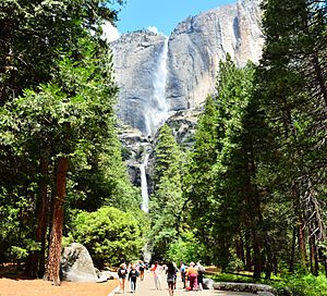 Yosemite Falls (Upper & Lower) (25069347367)