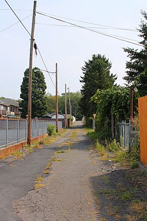 Alley in Marion Heights