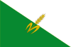 Flag of Carcasi