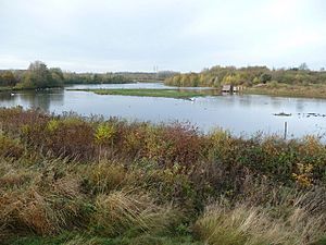 Forge Mill Lake, Sandwell Valley Country Park - geograph.org.uk - 1579402.jpg