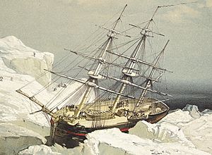 HMS Investigator stuck in ice (cropped).jpg