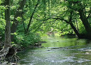 Darby Creek in Haverford Township