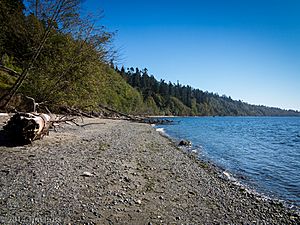 South Whidbey State Park, Whidbey Island, WA (15254173598)