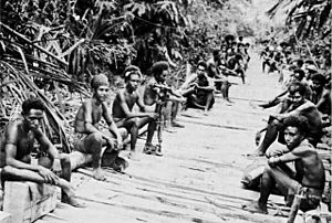 USA-P-Papua-p160 NATIVES WITH SUPPLIES AND AMMUNITION for the front lines taking a brief rest along a corduroy road. Milner