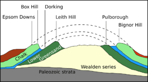 Western Weald geology cross section
