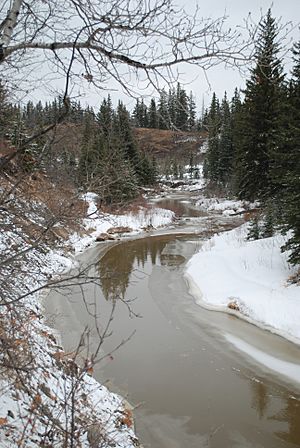 Whitemud Creek in Mactaggart area