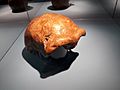 Calotte crânienne, type de l'espèce Homo neanderthalensis, vallée de Néander