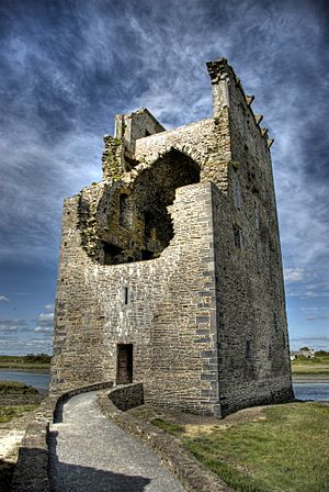 Carrigafoyle Castle Ireland