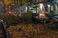 Hurricane Sandy on 101st St