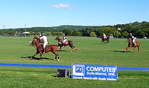 Polo at Great Meadow