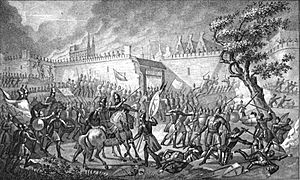 A battle is shown raging outside a fortress, with some attackers attempting to use ladders to climb the large wall.