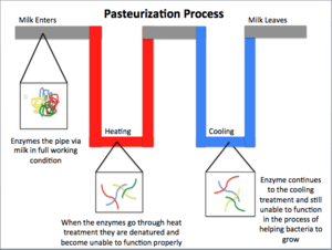Simple Pasteurization