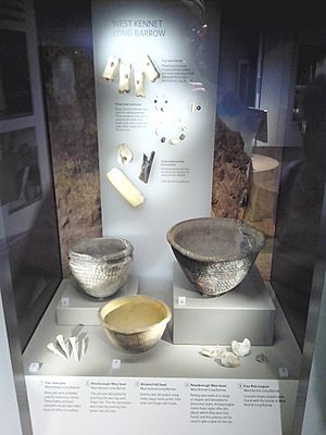 West Kennet Long Barrow artefacts - Wiltshire Museum, Devizes