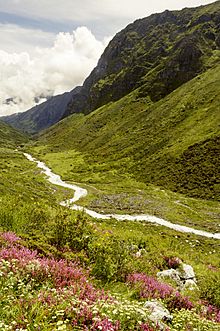 A scene from Kanchenjunga National Park, Sikkim (1)