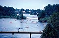 American River at Sunrise Park, June 1974 (26251615404)