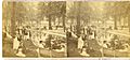 Central City Park, May Day, 1876 - DPLA - 1f2832f8c9ab99a837643abc11d97118