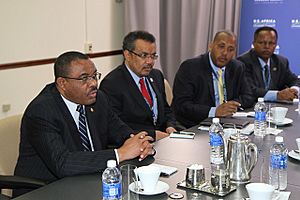 Hailemariam Desalegn and Tedros Adhanom, August 2014