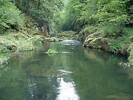 Doubs river near Les Planchettes village