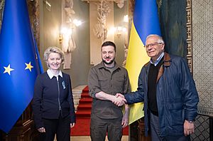 Meeting of the President of Ukraine with the President of the European Commission and the High Representative of the EU for Foreign Affairs and Security Policy 29