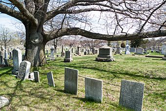 North Burial Ground Providence RI with trees and gravestones.jpg