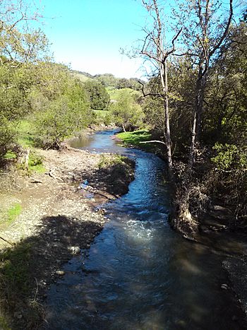 View of Llagas Creek from bridge on Oak Glen Ave, March 2017.jpg