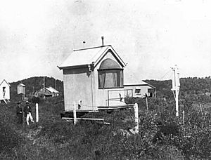 Yellow Patch, Queensland 1917