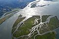 Aerial View of Russian Island, Lewis and Clark National Wildlife Refuge