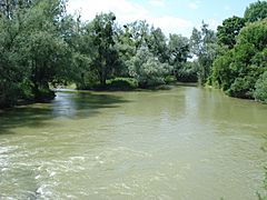 Aisne river at Voncq (Ardennes, Fr.)