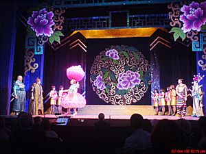 Aladdin pantomime Nottingham Playhouse 2008