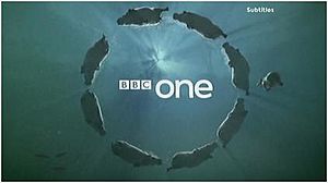 BBC One circle