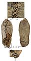 Chalcolithic leather shoe from Areni-1 cave