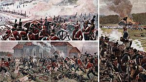 Dano-Swedish War 1808–1809 Collage.jpg