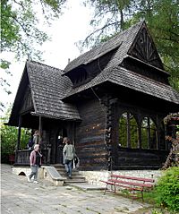 Dom Żeromskiego proj Koszyc Witkiewicz Nałęczów