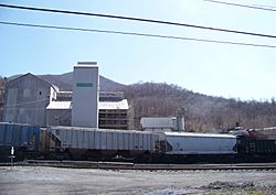 Coal train in Goldbond