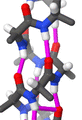 Polypeptide forming an alpha helix, with hydrogen bonds in magenta