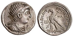 Ptolemy VIII, 138-137