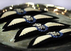 Remotely Piloted Air System RAF Pilot Badges MOD 45155237