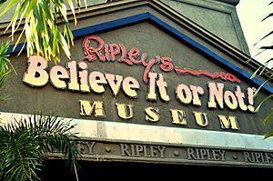 Ripley's Believe It Or Not museum in Bangalore - Jim Ankan Deka photo