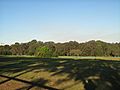 Sydney Turpentine-Ironbark Forest, Yaralla Estate, Concord West NSW 1