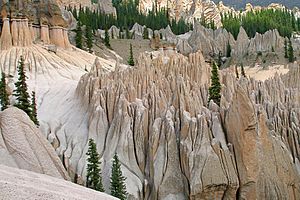 A272, Wheeler Geologic Area, La Garita Wilderness, Colorado, USA, 2008