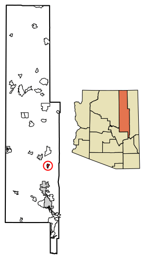 Location of Woodruff in Navajo County, Arizona.