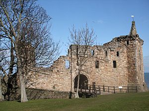 St. Andrews Castle - geograph.org.uk - 932461