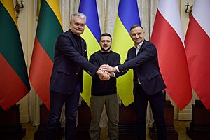 Volodymyr Zelenskyy, Andrzej Duda and Gitanas Nausėda held a meeting in the format of the Lublin Triangle in Lviv. (52719602164)