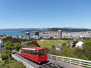 View of Wellington Cable Car, Kelburn Park sports field and central business district, from the Botanic Garden