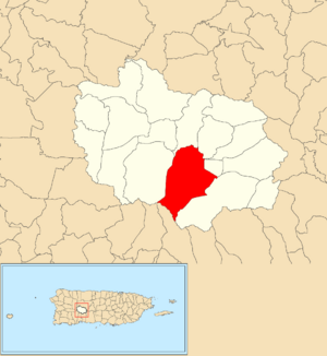 Location of Garzas barrio within the municipality of Adjuntas shown in red